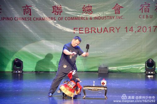 海丝连心·泉宿情长——泉州文化艺术团赴宿务城市广场文化交流活动侧记